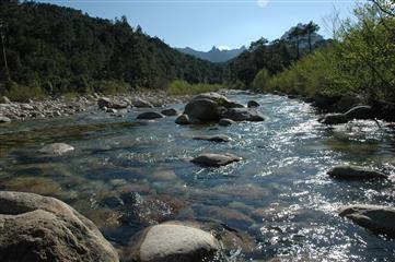 La rivière Solenzara 